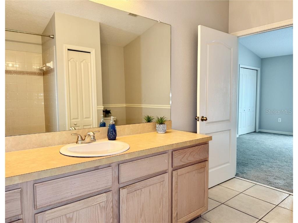 3506 High Hampton Cir Tampa FL 33610 TB8433303 image23