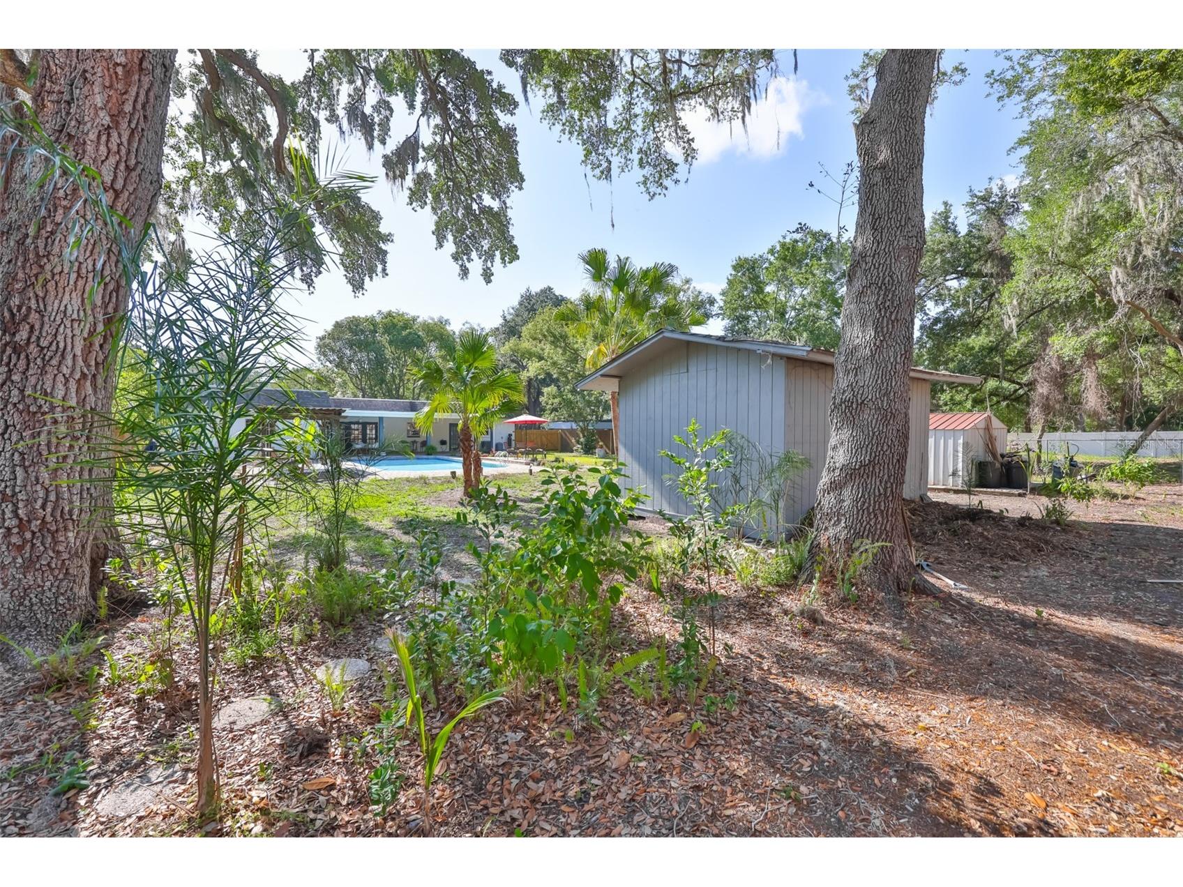 3506 Hillgrove Road Valrico FL 33596 TB8494762 image46