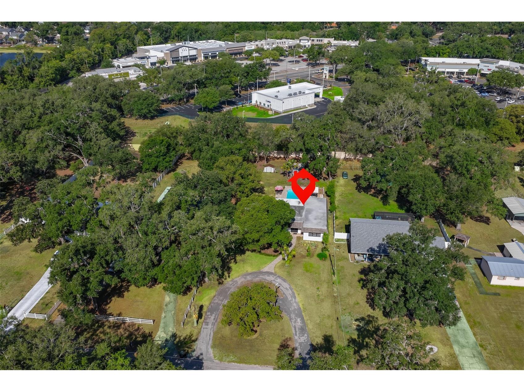 3506 Hillgrove Road Valrico FL 33596 TB8494762 image53