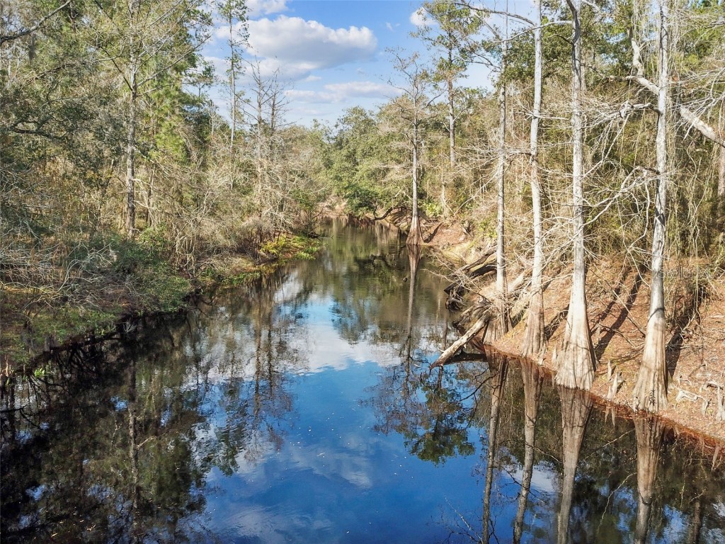 3506 Riverdale Drive Dade City FL 33523 - WITHLACOOCHEE RIVER T3495821 image1