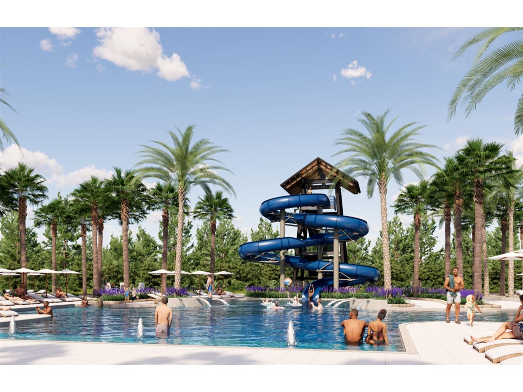 35060 Colstrip Trail Zephyrhills FL 33541 TB8421823 image27