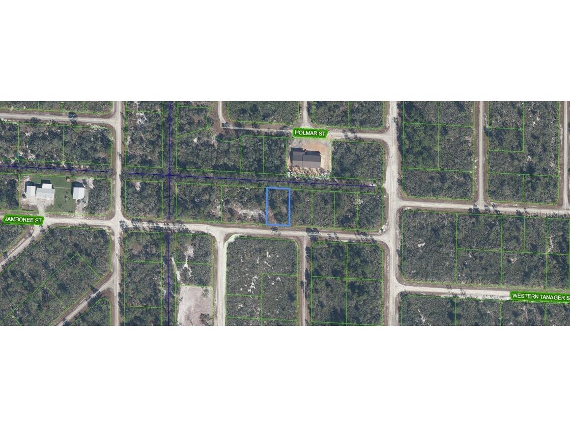 3507 & 3509 Jamboree Street Lake Placid FL 33852 C7516101 image1