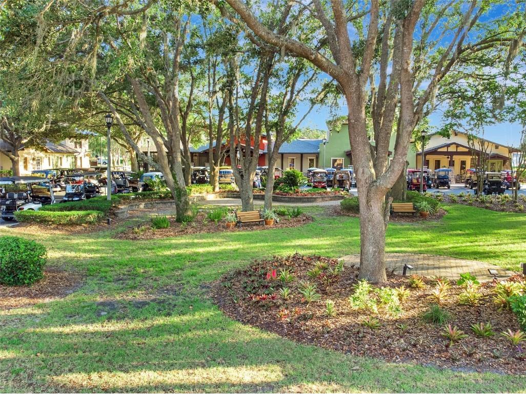 3507 Arlington Ridge Boulevard Leesburg FL 34748 G5099008 image52