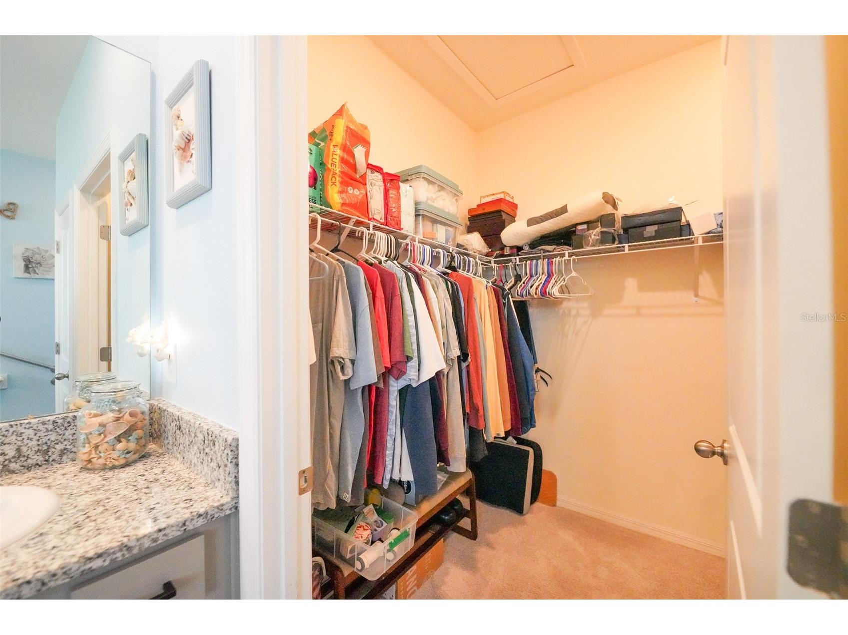 3507 Autumn Amber Drive Spring Hill FL 34609 TB8496637 image17