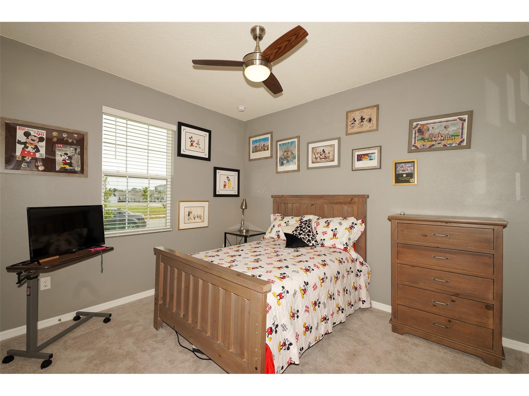 3507 Autumn Amber Drive Spring Hill FL 34609 TB8496637 image18