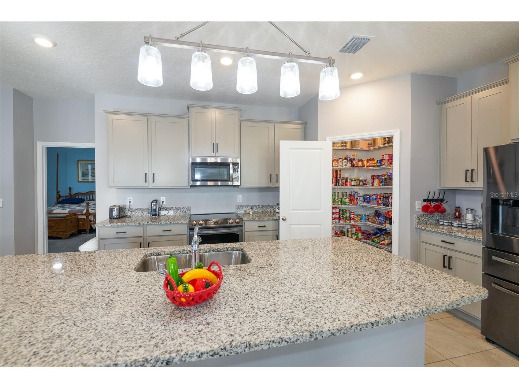 3507 Autumn Amber Drive Spring Hill FL 34609 TB8496637 image8