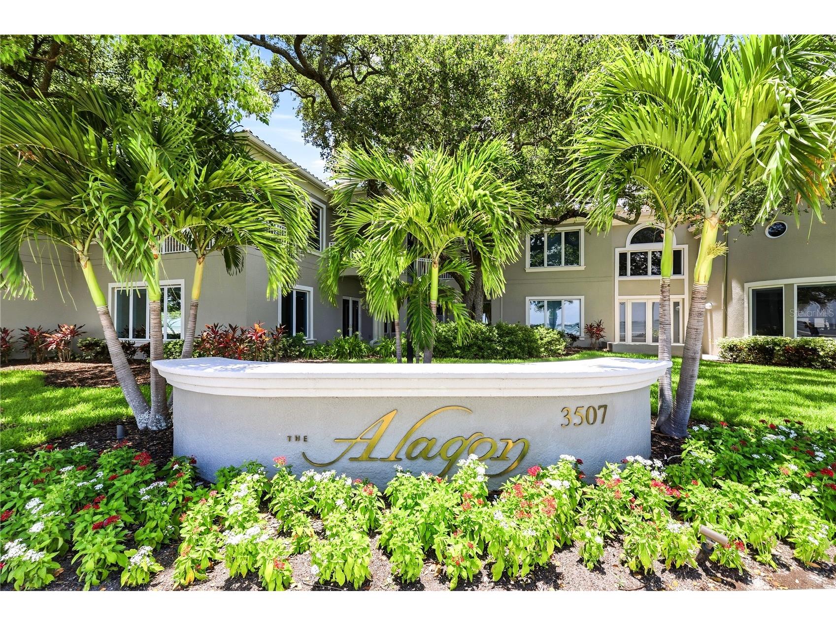 3507 Bayshore Boulevard #102 Tampa FL 33629 TB8529420 image1