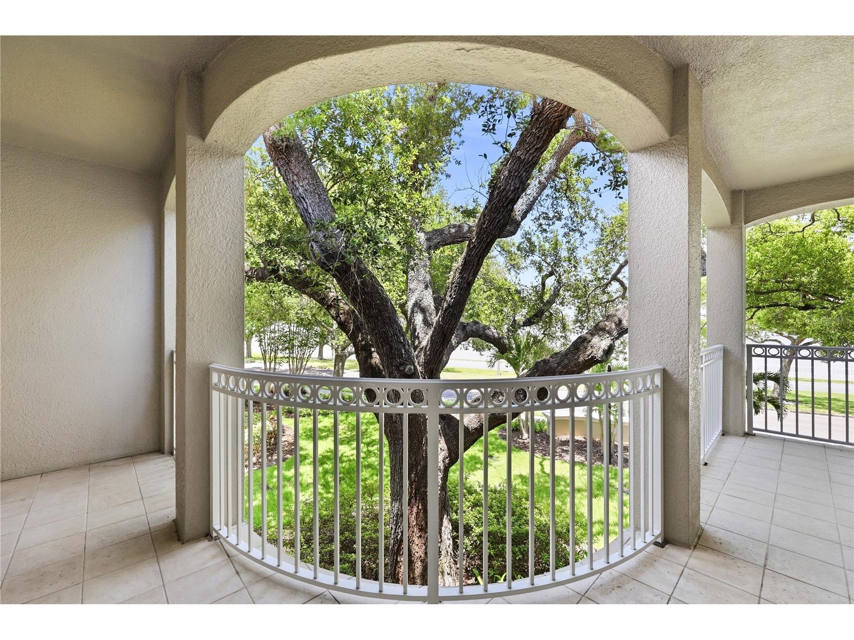 3507 Bayshore Boulevard #102 Tampa FL 33629 TB8529420 image47