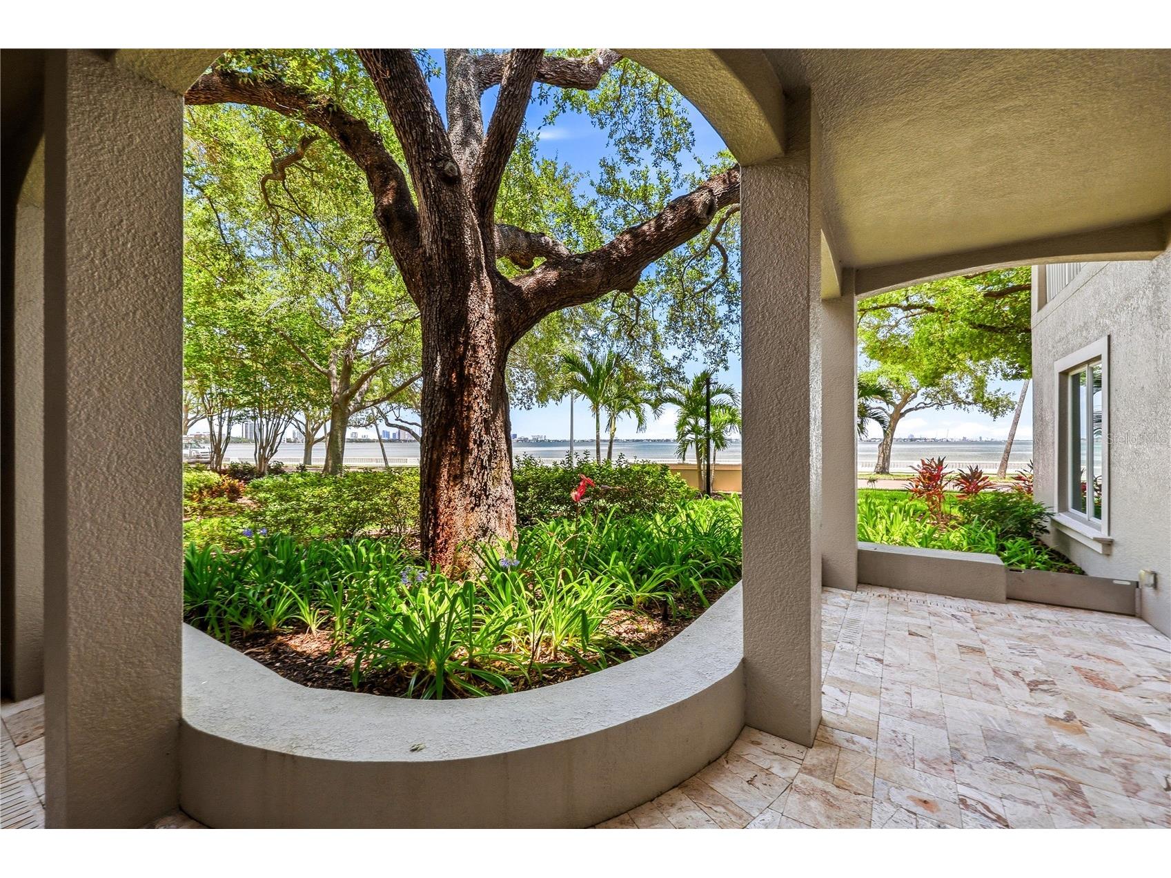3507 Bayshore Boulevard #102 Tampa FL 33629 TB8529420 image6