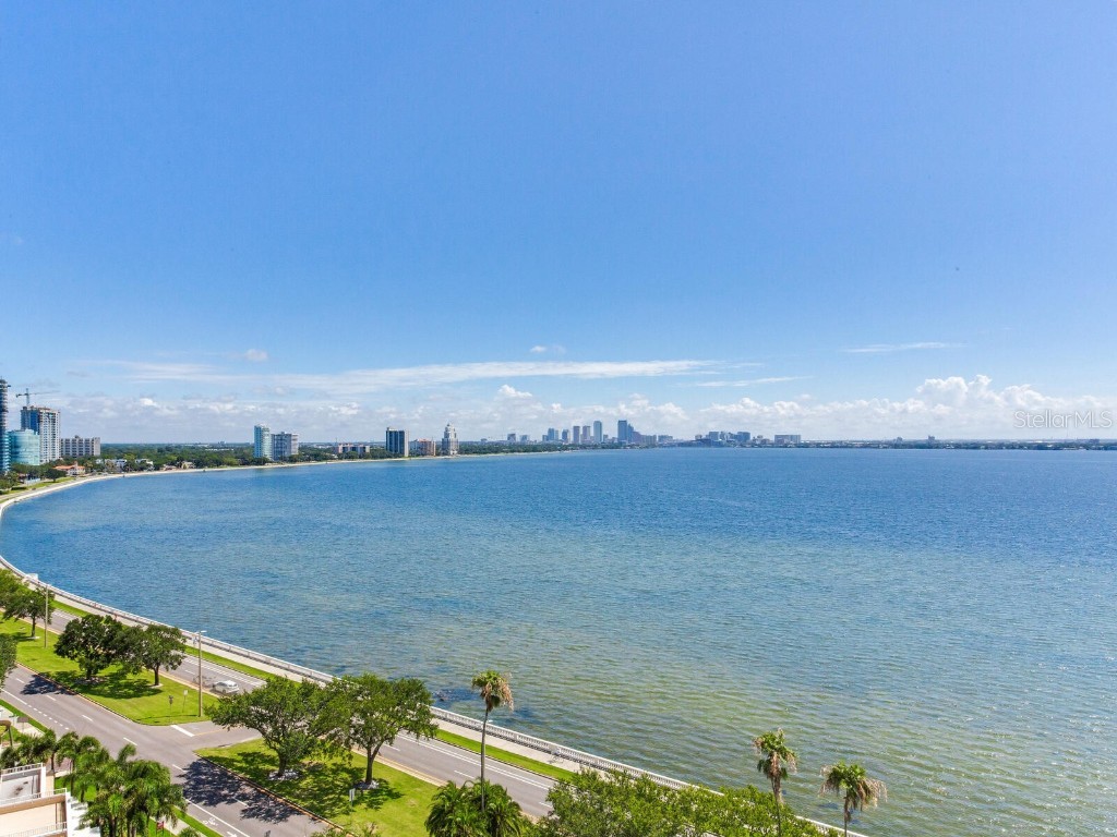 3507 Bayshore Boulevard #1202 Tampa FL 33629 - HILLSBOROUGH BAY TB8450554 image32