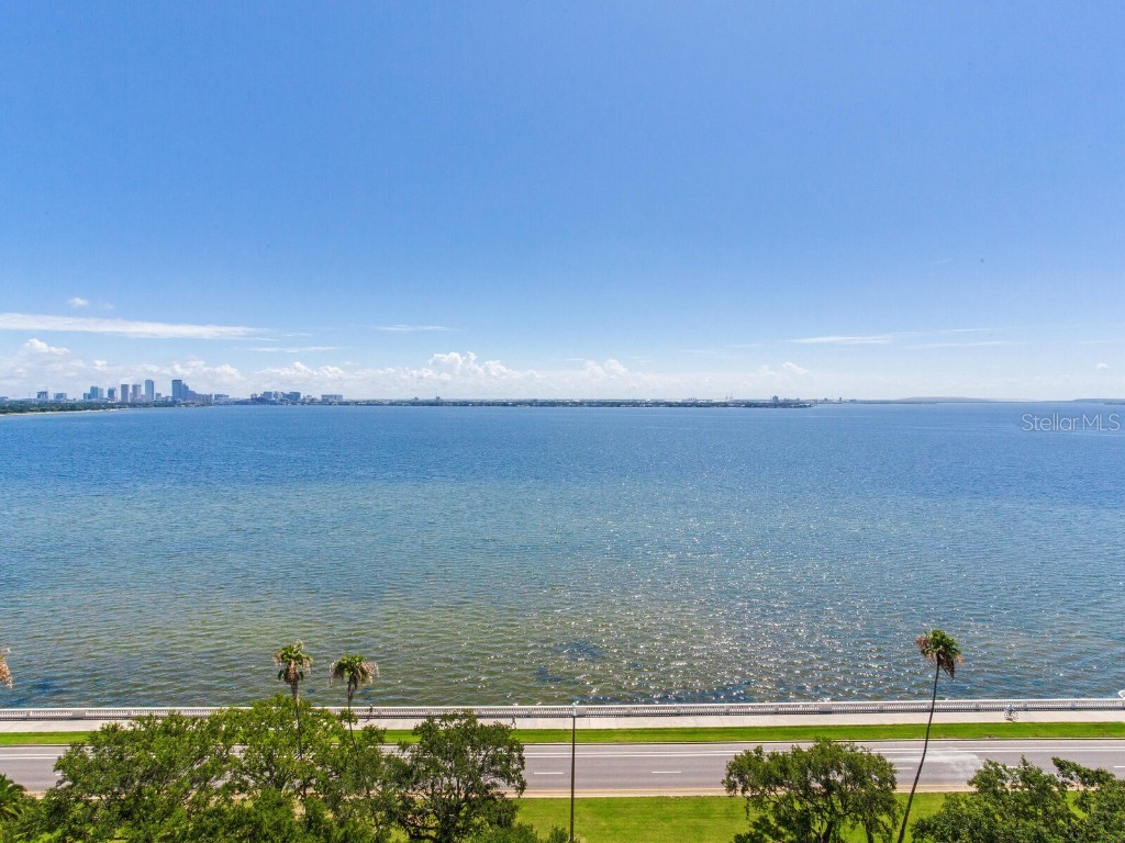 3507 Bayshore Boulevard #1202 Tampa FL 33629 - HILLSBOROUGH BAY TB8450554 image35