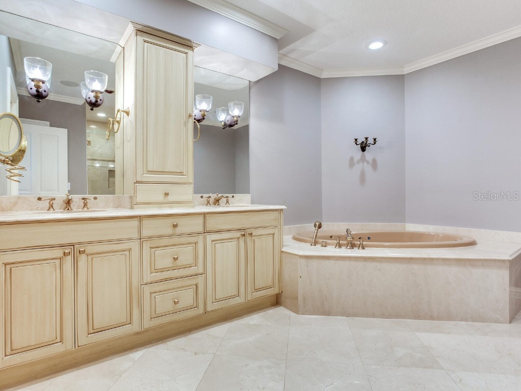 3507 Bayshore Boulevard #1202 Tampa FL 33629 TB8450608 image28