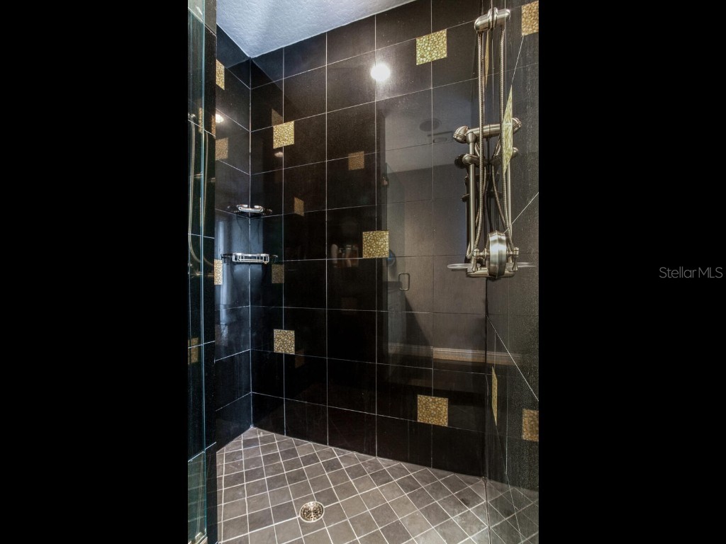 3507 Bayshore Boulevard #1202 Tampa FL 33629 TB8450608 image40