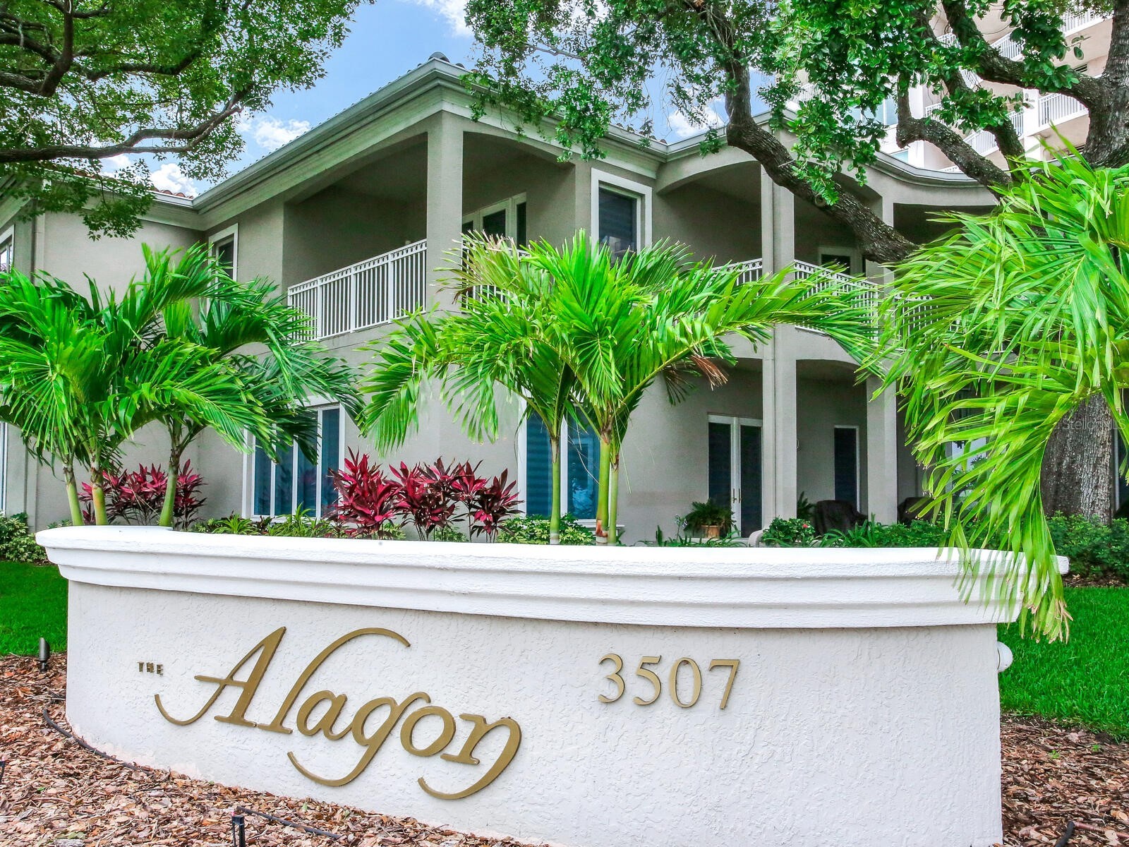 3507 Bayshore Boulevard #1202 Tampa FL 33629 - HILLSBOROUGH BAY TB8478599 image3