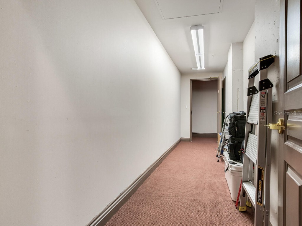 3507 Bayshore Boulevard #2001 Tampa FL 33629 T3452054 image51