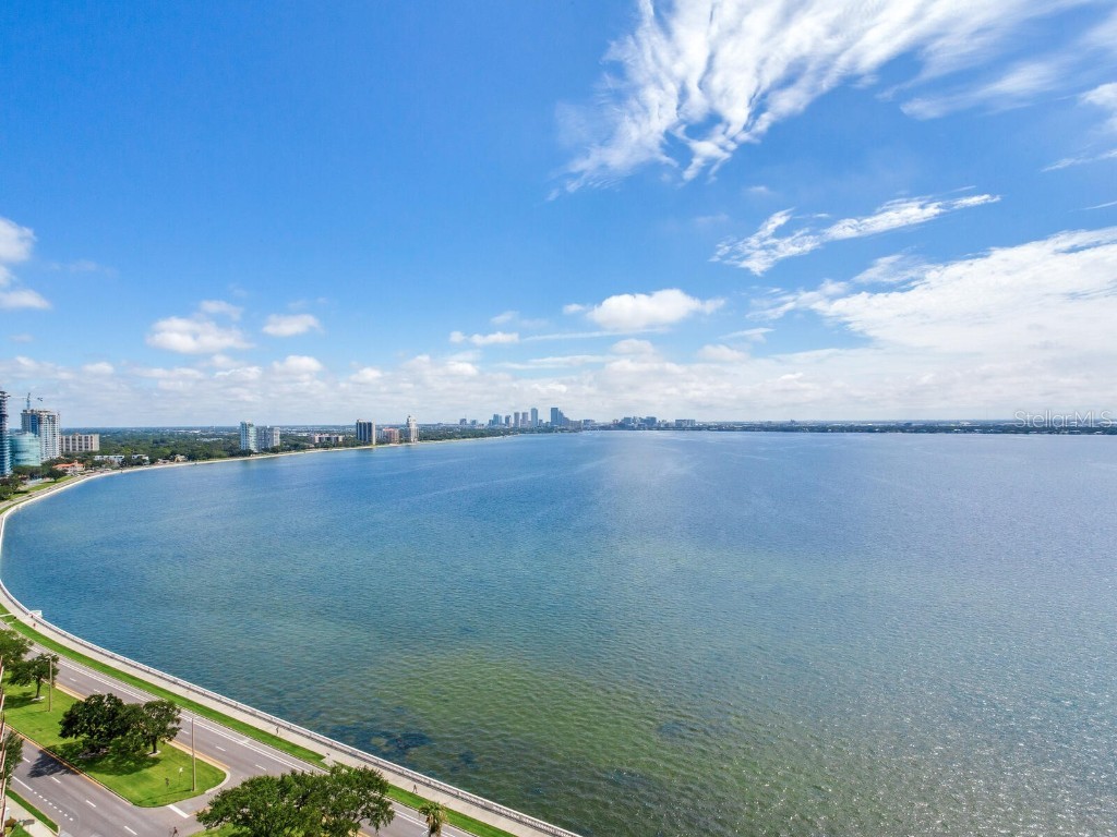 3507 Bayshore Boulevard #2001 Tampa FL 33629 T3452054 image61