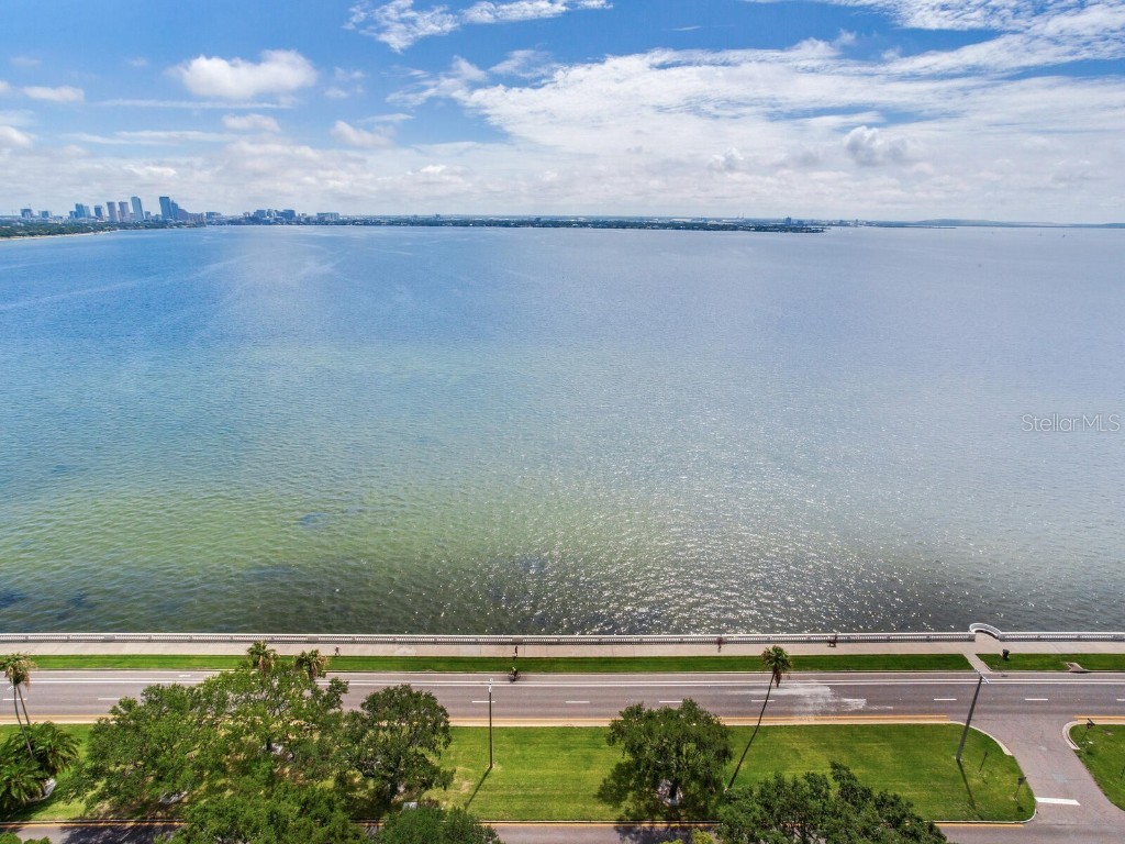 3507 Bayshore Boulevard #2001 Tampa FL 33629 T3452054 image62