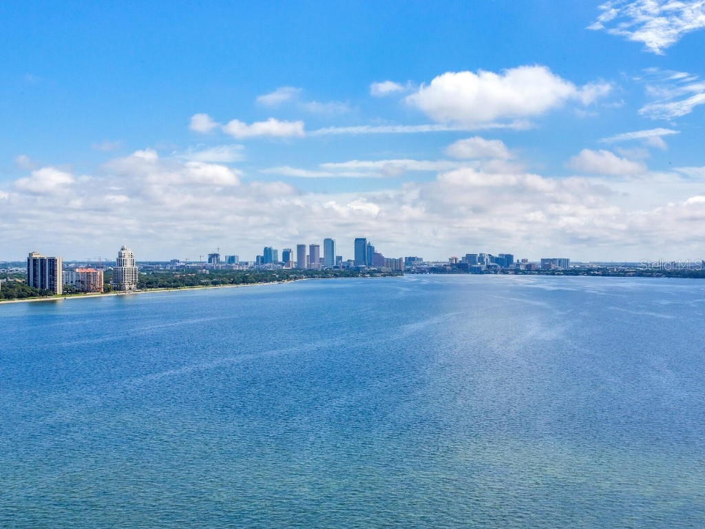 3507 Bayshore Boulevard #2001 Tampa FL 33629 TB8445208 image31