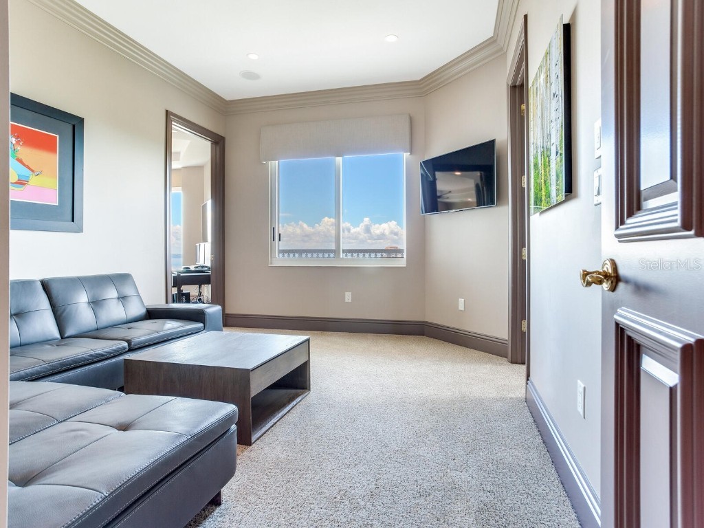 3507 Bayshore Boulevard #2001 Tampa FL 33629 TB8445208 image60