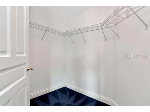 3507 Bayshore Boulevard #302 Tampa FL 33629 TB8398951 image26