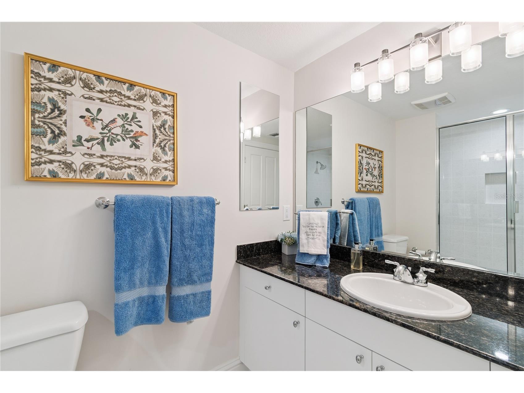 3507 Bayshore Boulevard #701 Tampa FL 33629 - GULF OF MEXICO / TAMPA BAY TB8511095 image35