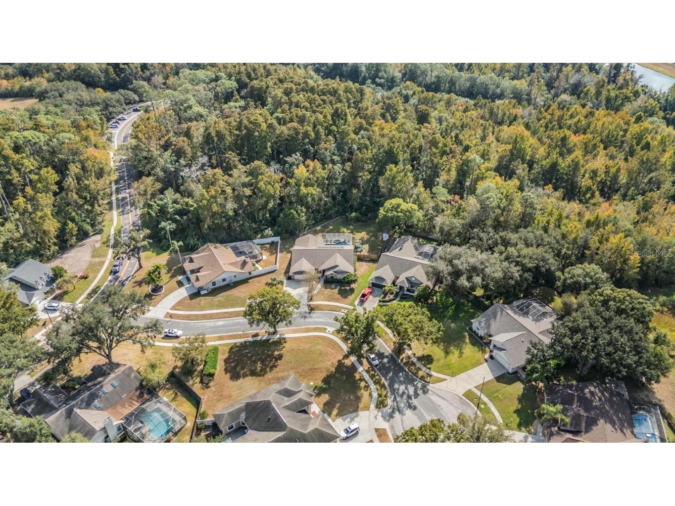 3507 Country Creek Lane Valrico FL 33596 TB8448826 image50