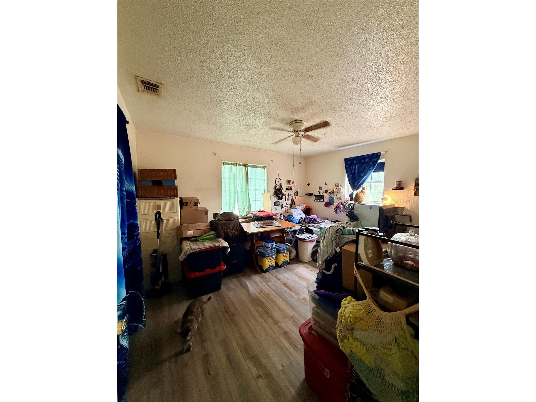 3507 E 9th Street Lehigh Acres FL 33972 C7523653 image6
