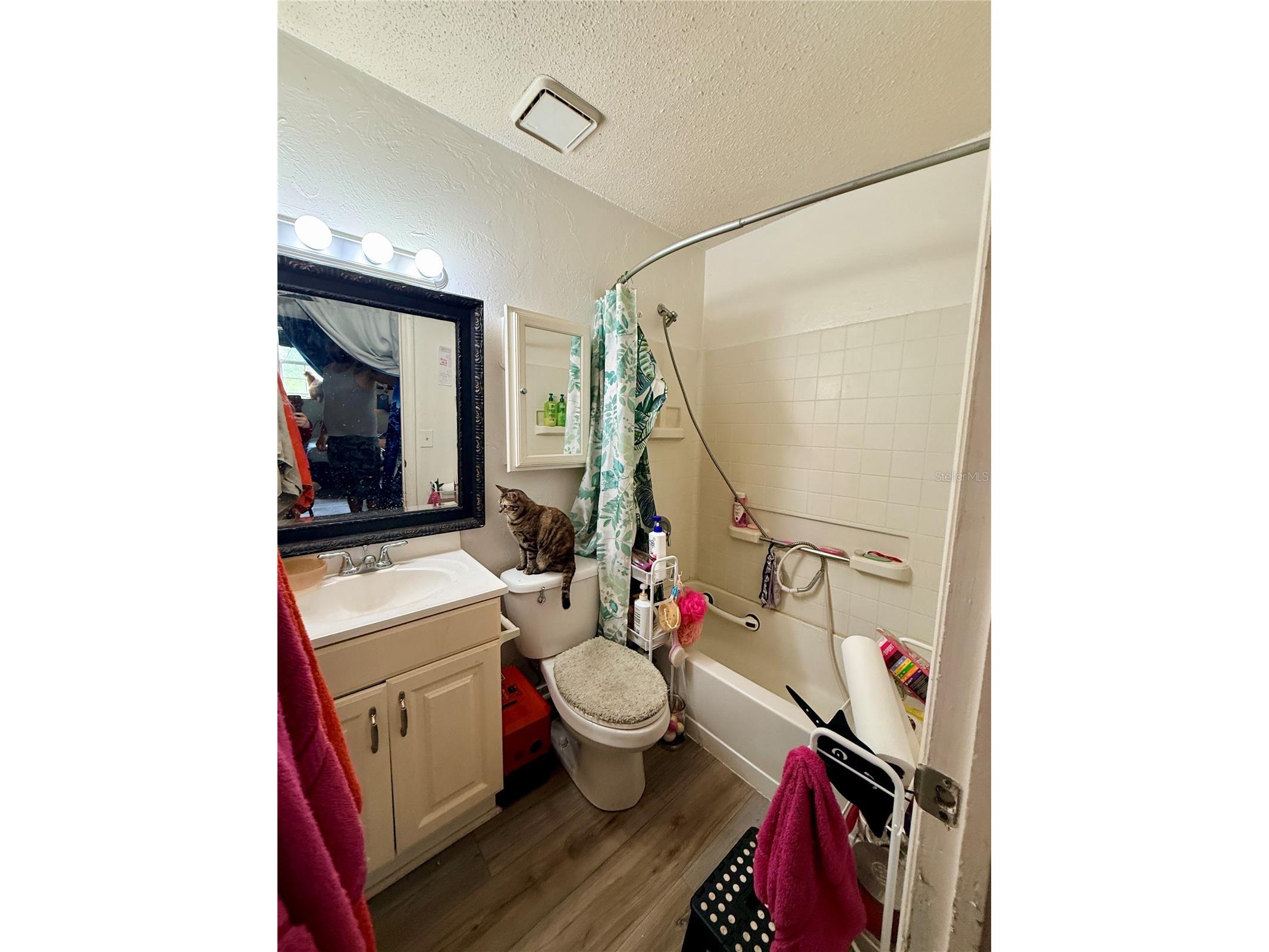 3507 E 9th Street Lehigh Acres FL 33972 C7523653 image7