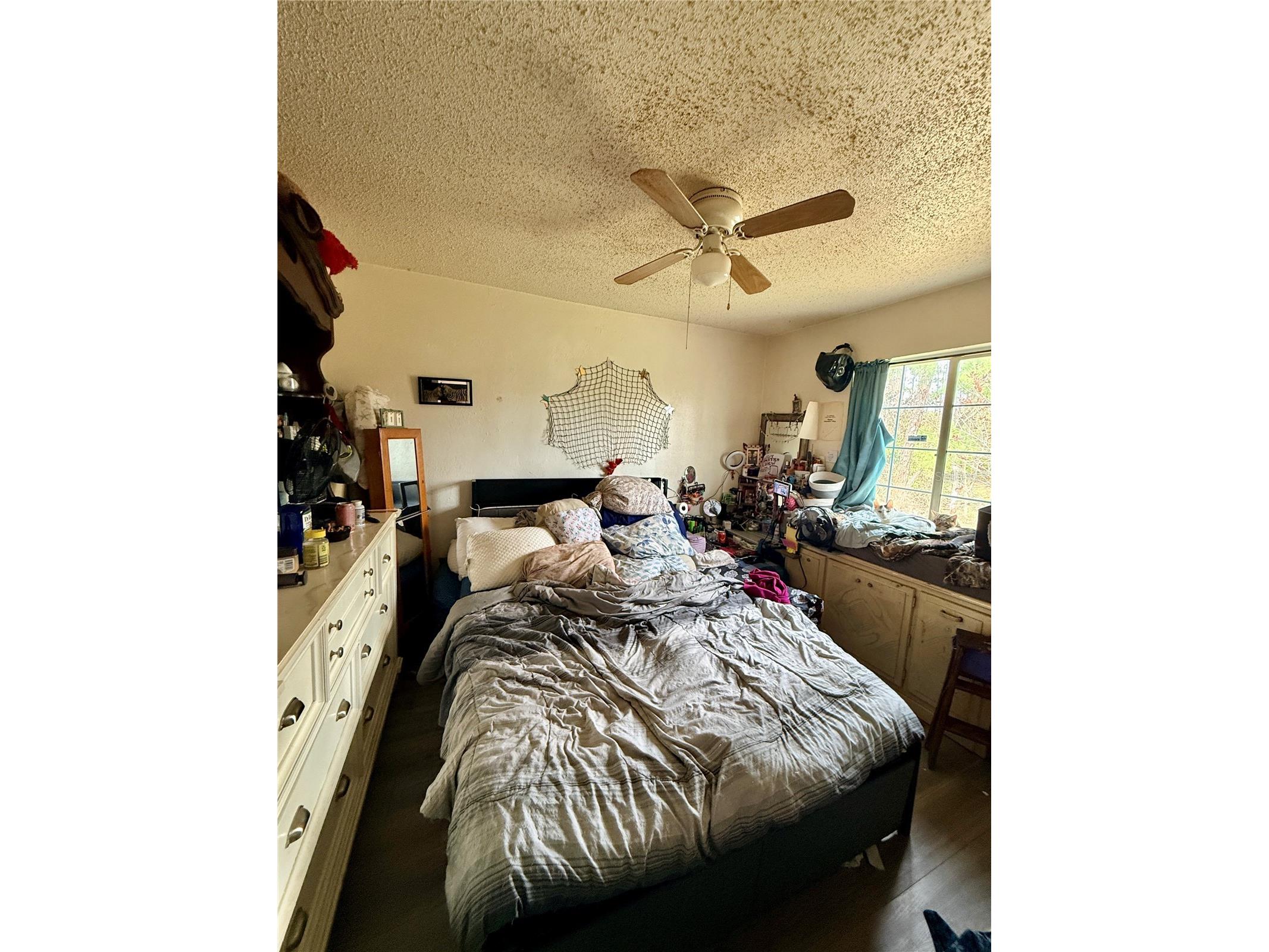 3507 E 9th Street Lehigh Acres FL 33972 C7523653 image8