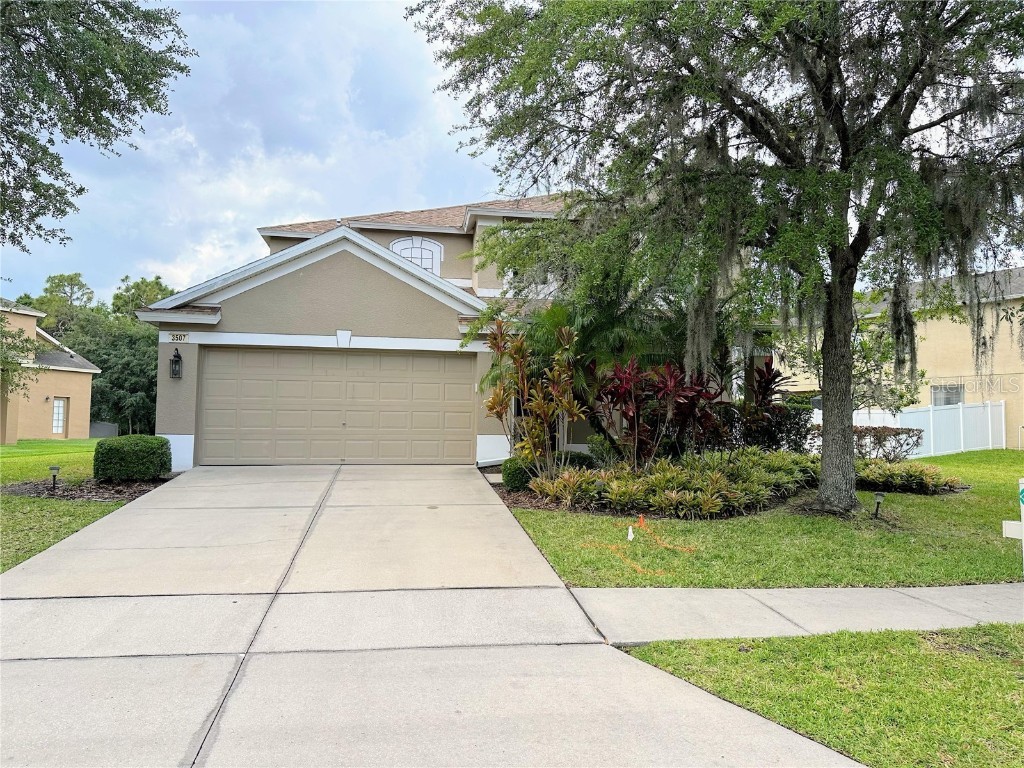 3507 Fortingale Drive Wesley Chapel FL 33543 T3447218 image1