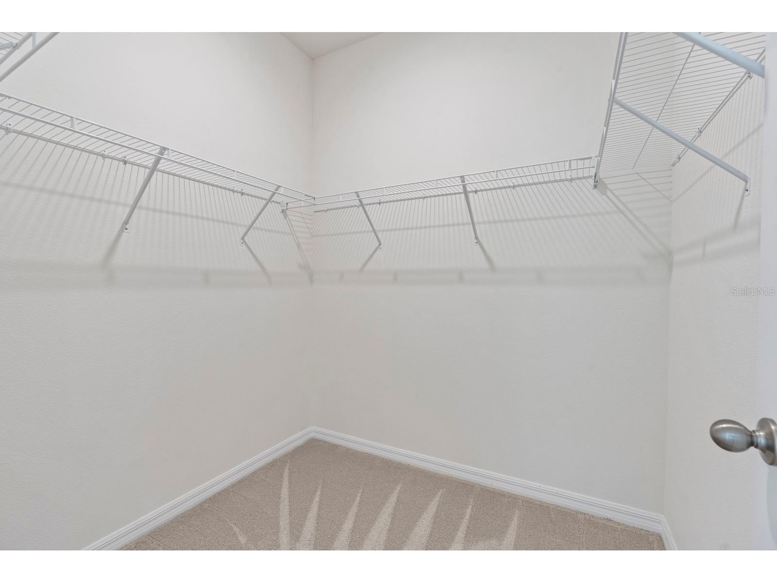 3507 Golden Wheat Lane Plant City FL 33565 TB8465319 image19