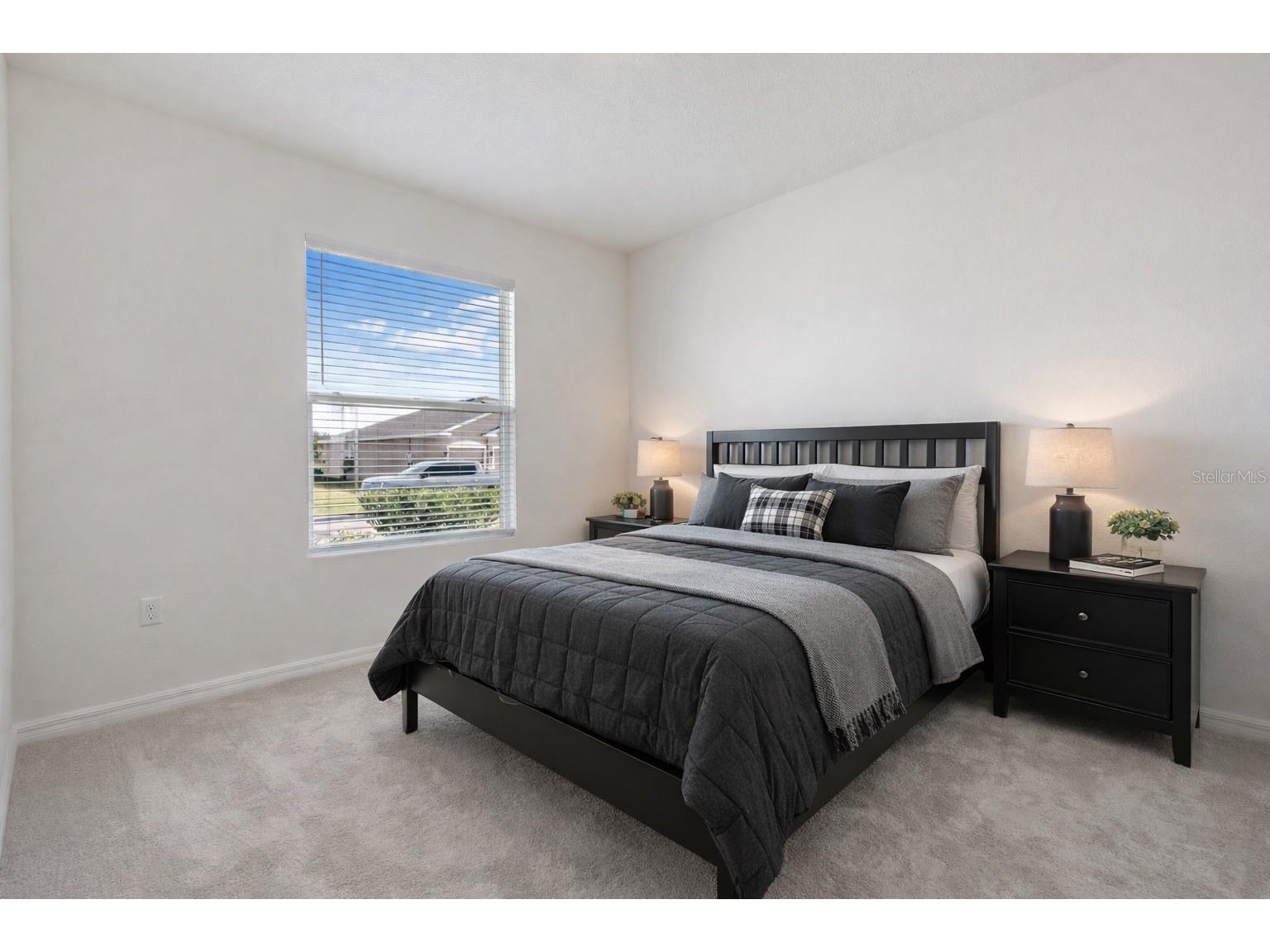 3507 Golden Wheat Lane Plant City FL 33565 TB8465319 image27