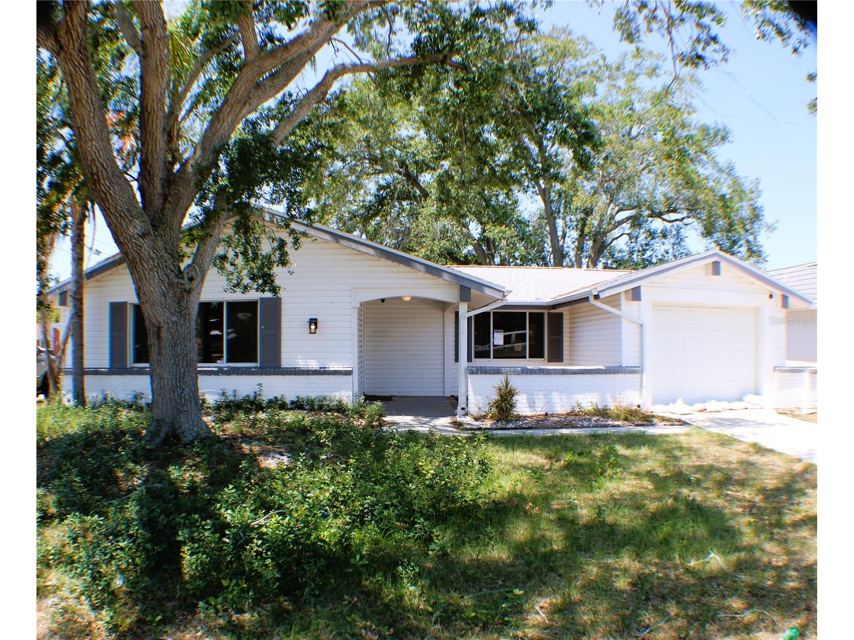 3507 Landale Drive Holiday FL 34691 TB8502914 image1
