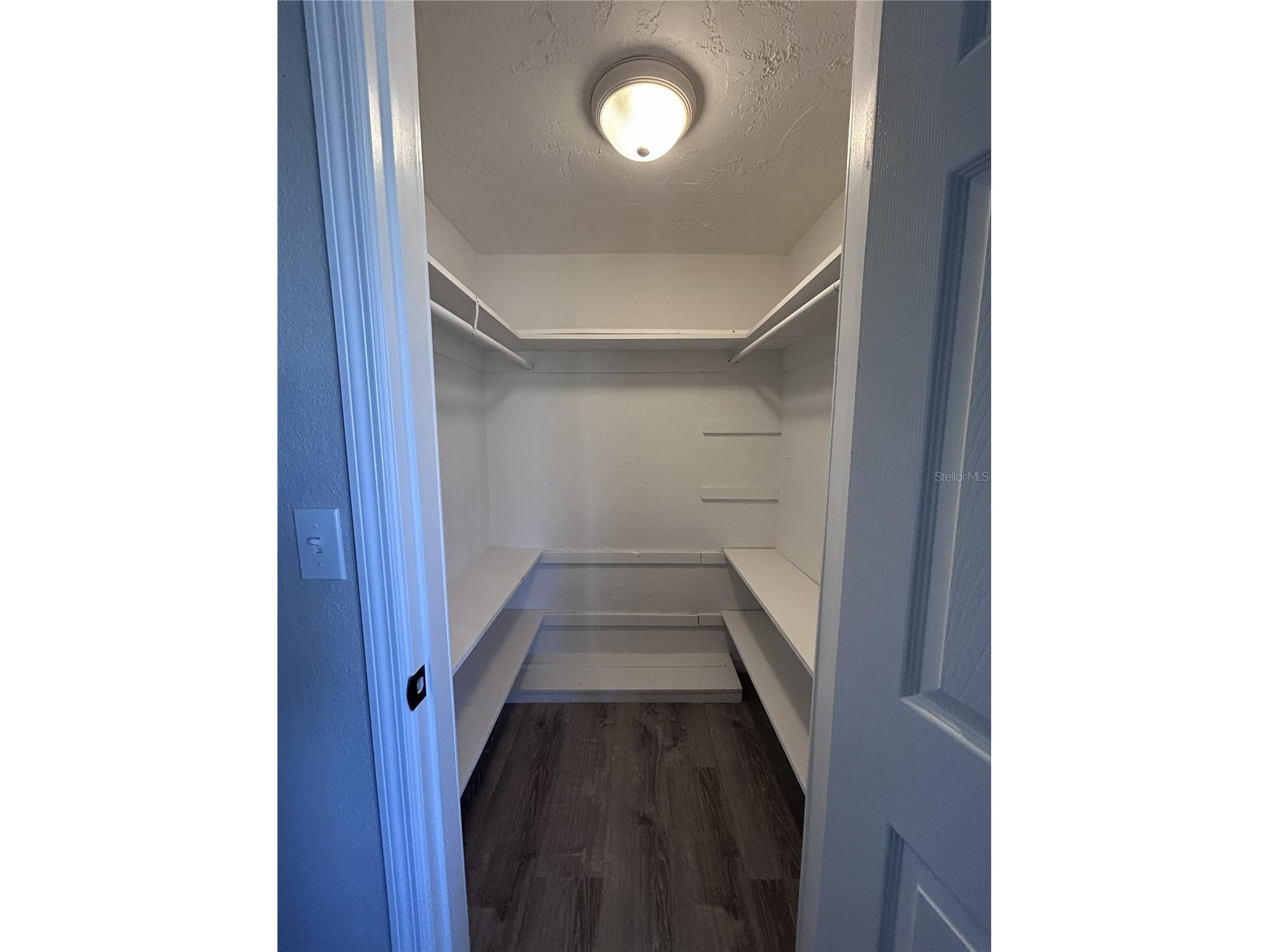 3507 Landale Drive Holiday FL 34691 TB8502914 image19