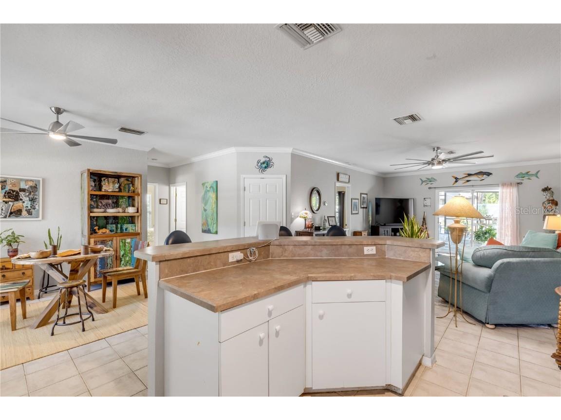 3507 Saxon Drive New Smyrna Beach FL 32169 NS1086084 image14