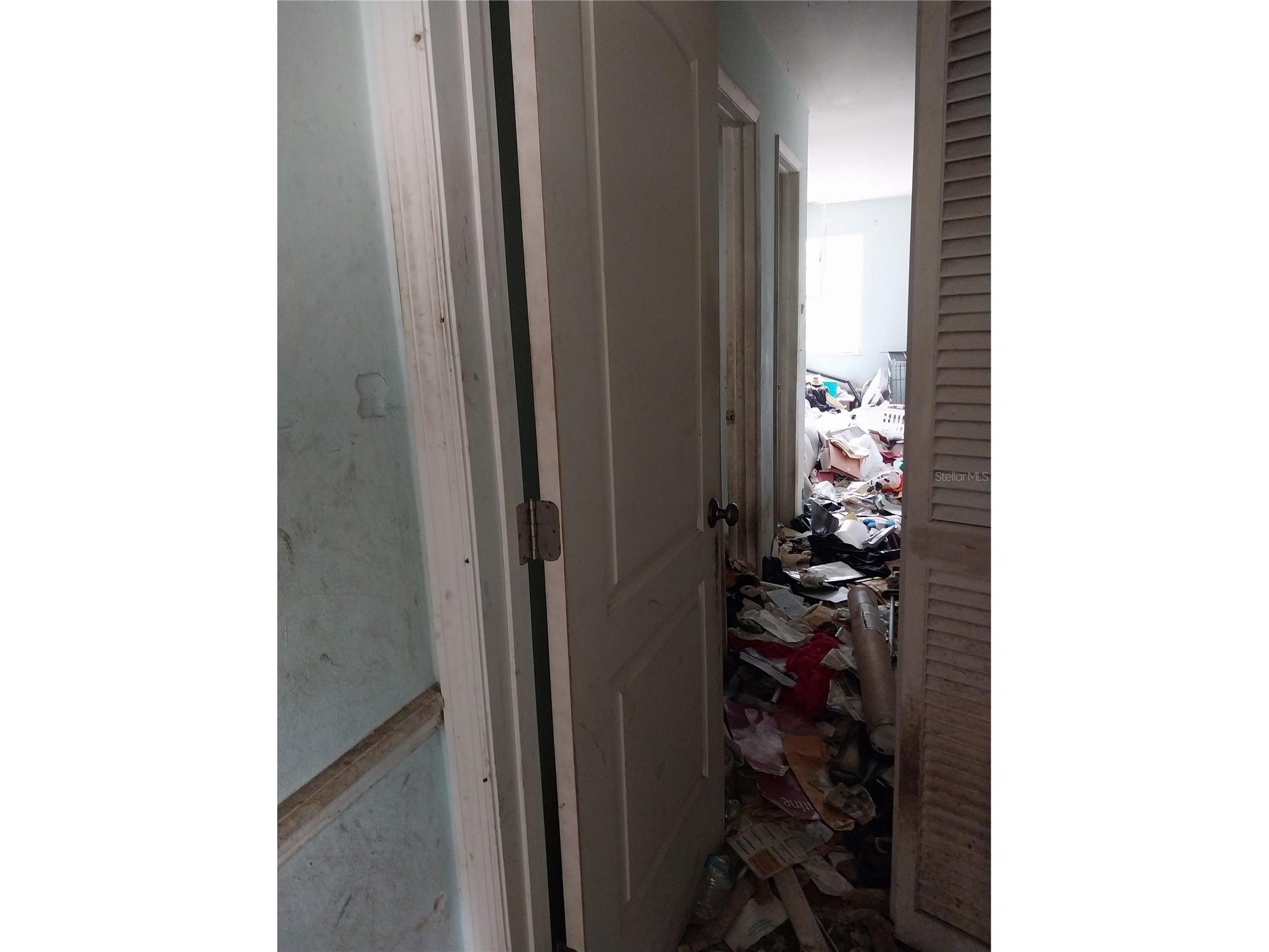3507 W San Luis Street Tampa FL 33629 TB8482641 image6