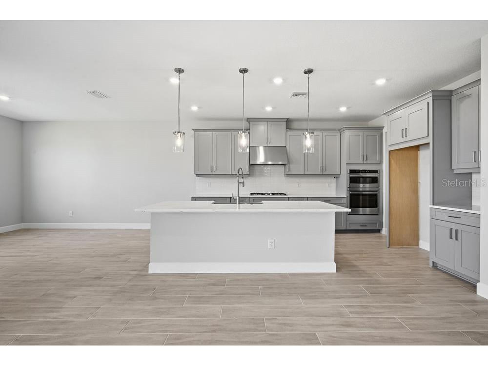 35074 Emberview Drive Zephyrhills FL 33541 TB8454990 image2