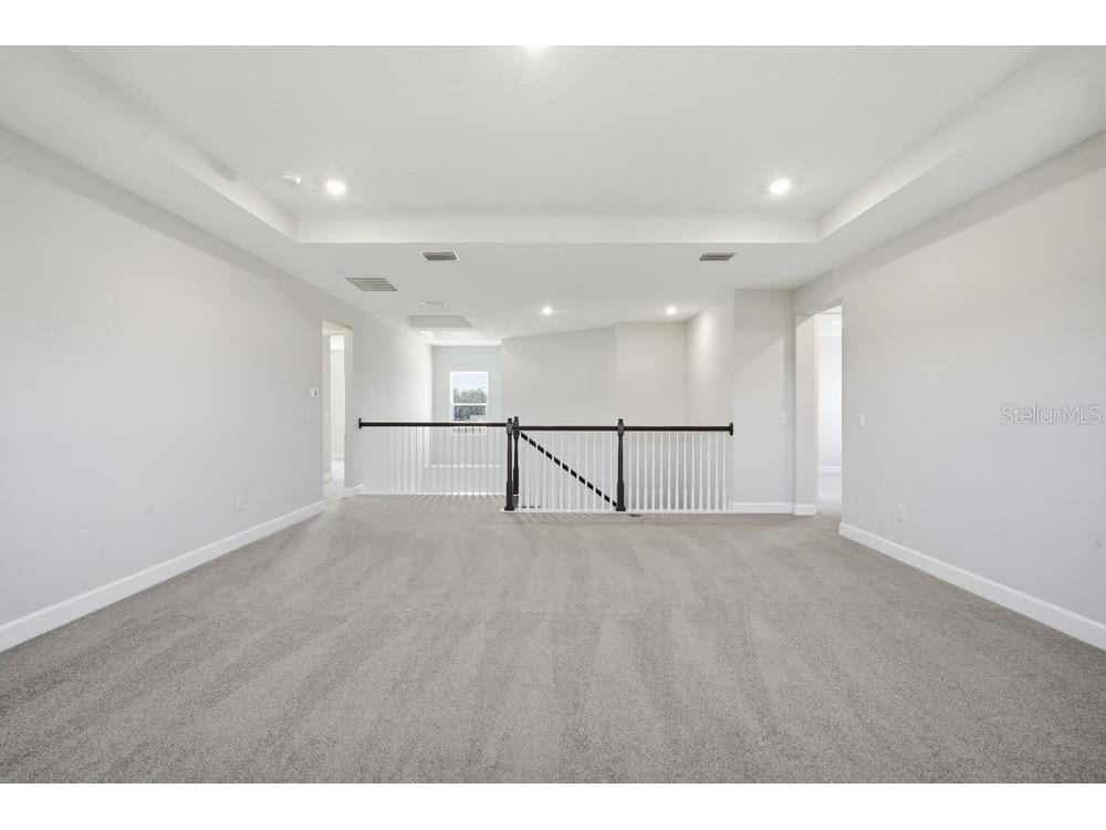 35074 Emberview Drive Zephyrhills FL 33541 TB8454990 image22