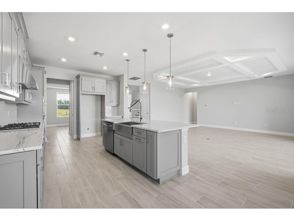 35074 Emberview Drive Zephyrhills FL 33541 TB8454990 image4