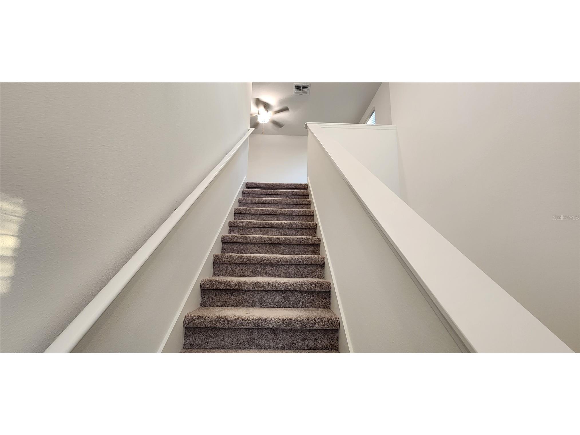 35077 Ackley Trace Zephyrhills FL 33541 TB8514212 image16