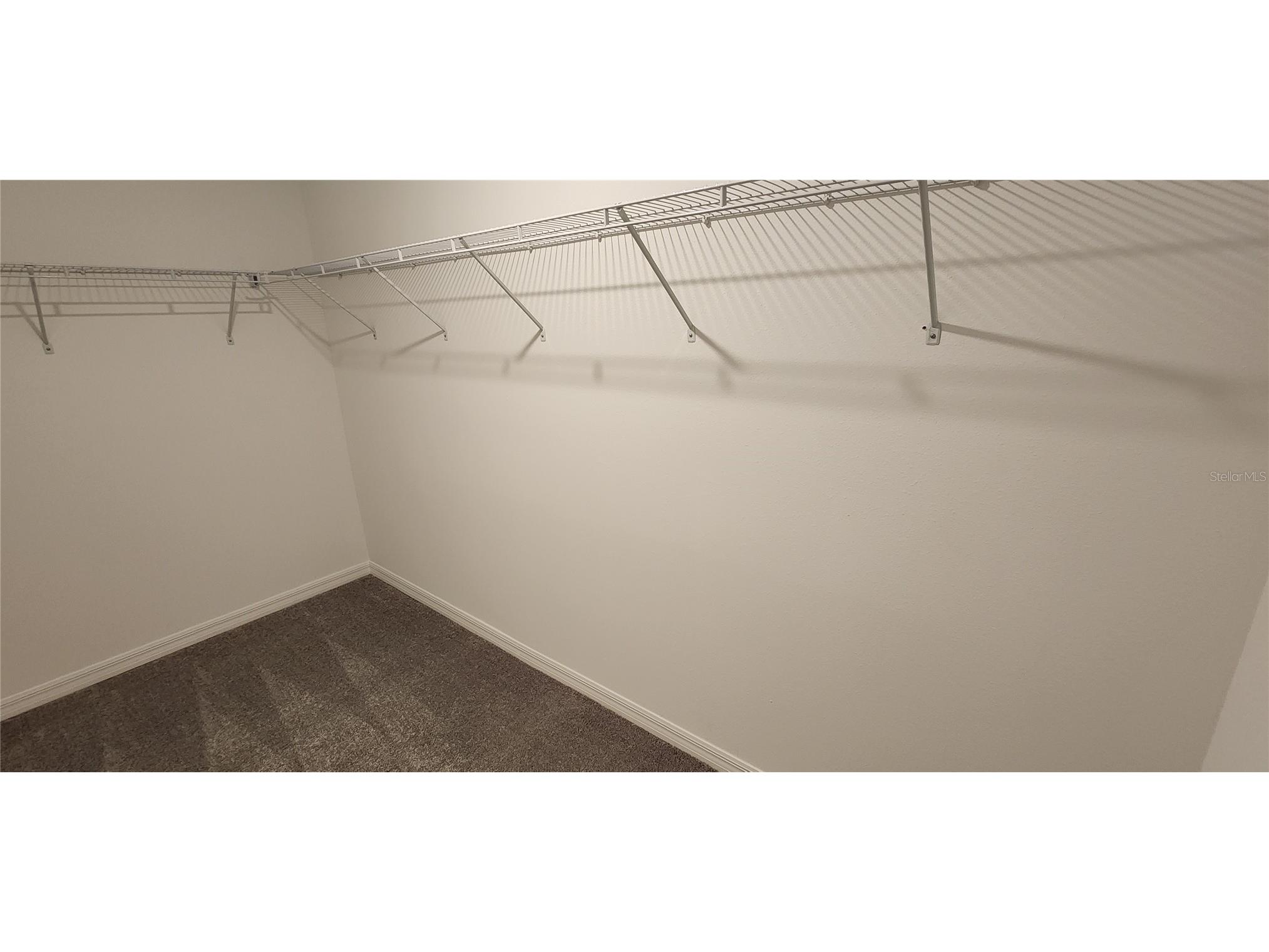35077 Ackley Trace Zephyrhills FL 33541 TB8514212 image21