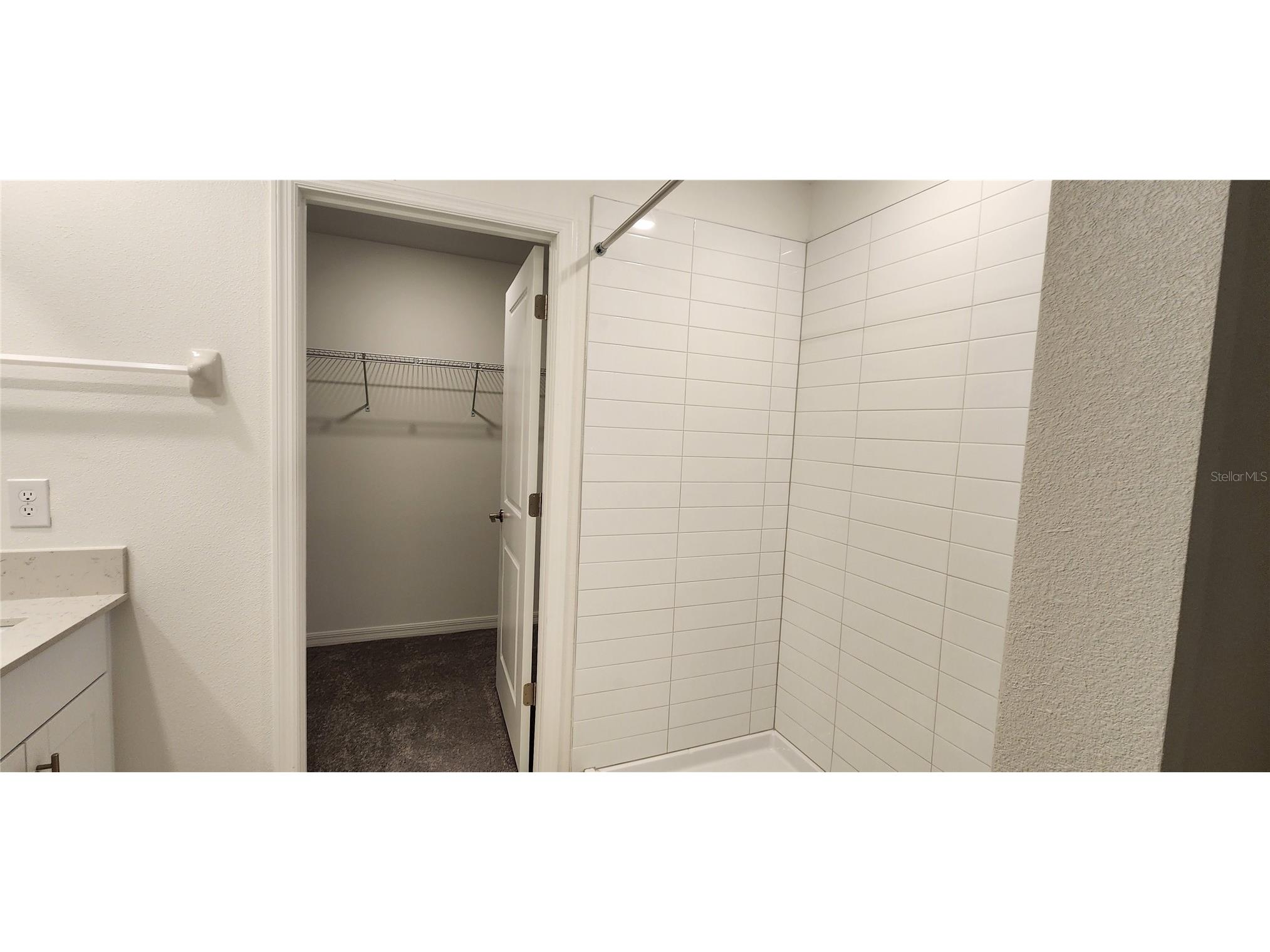 35077 Ackley Trace Zephyrhills FL 33541 TB8514212 image32