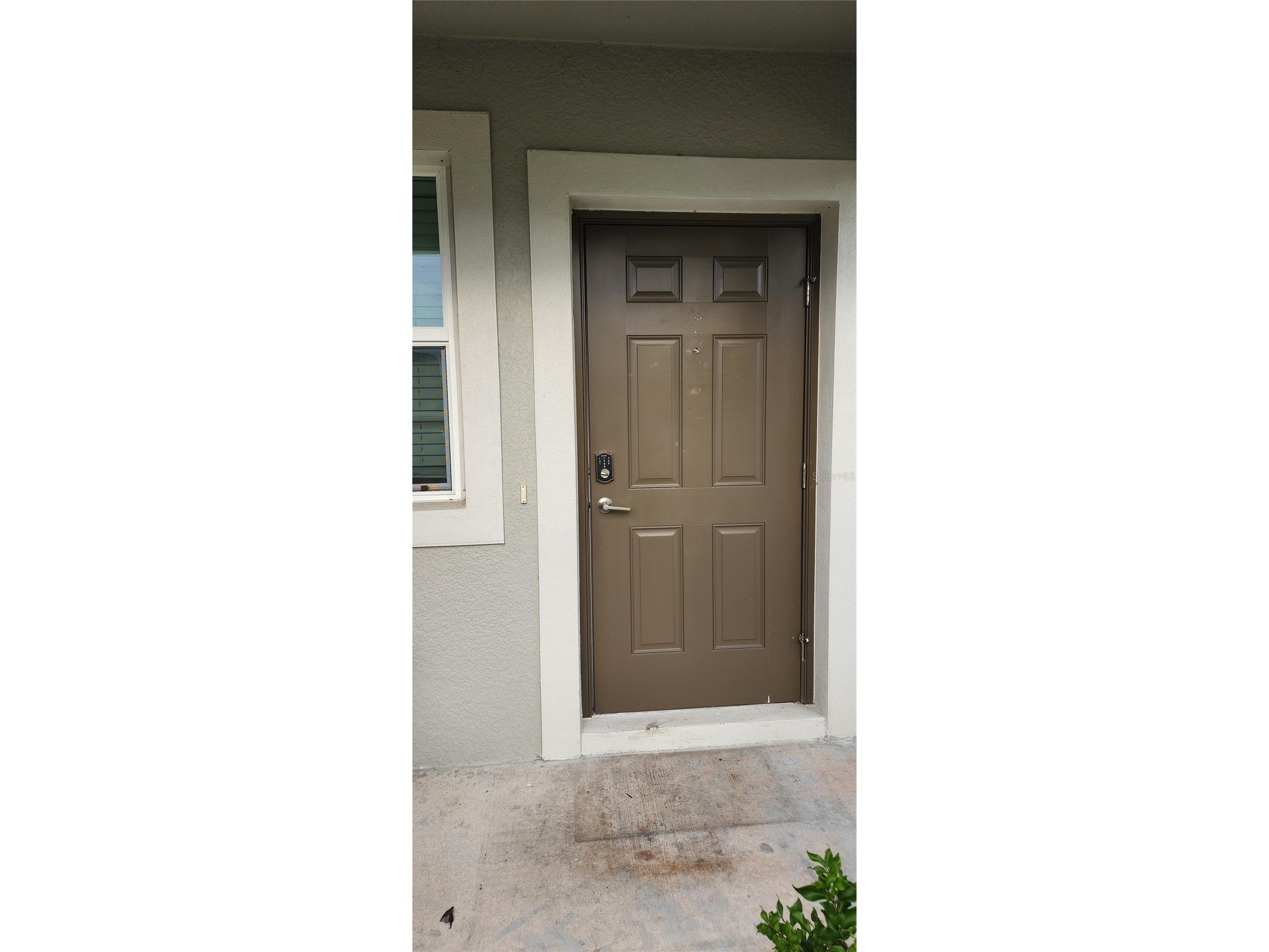 35077 Ackley Trace Zephyrhills FL 33541 TB8514212 image4