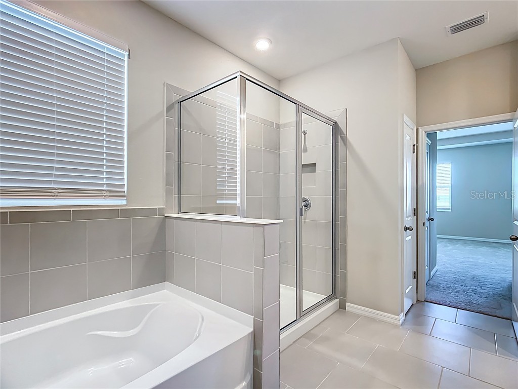 3508 Crescent Peak Way Plant City FL 33565 O6325060 image34