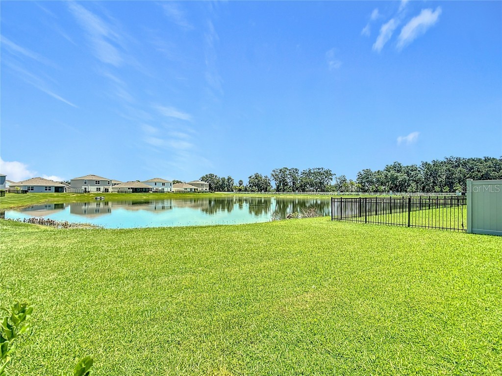 3508 Crescent Peak Way Plant City FL 33565 O6325060 image41