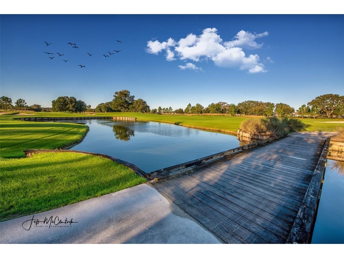 3508 NW 55th Court Ocala FL 34482 OM714211 image43