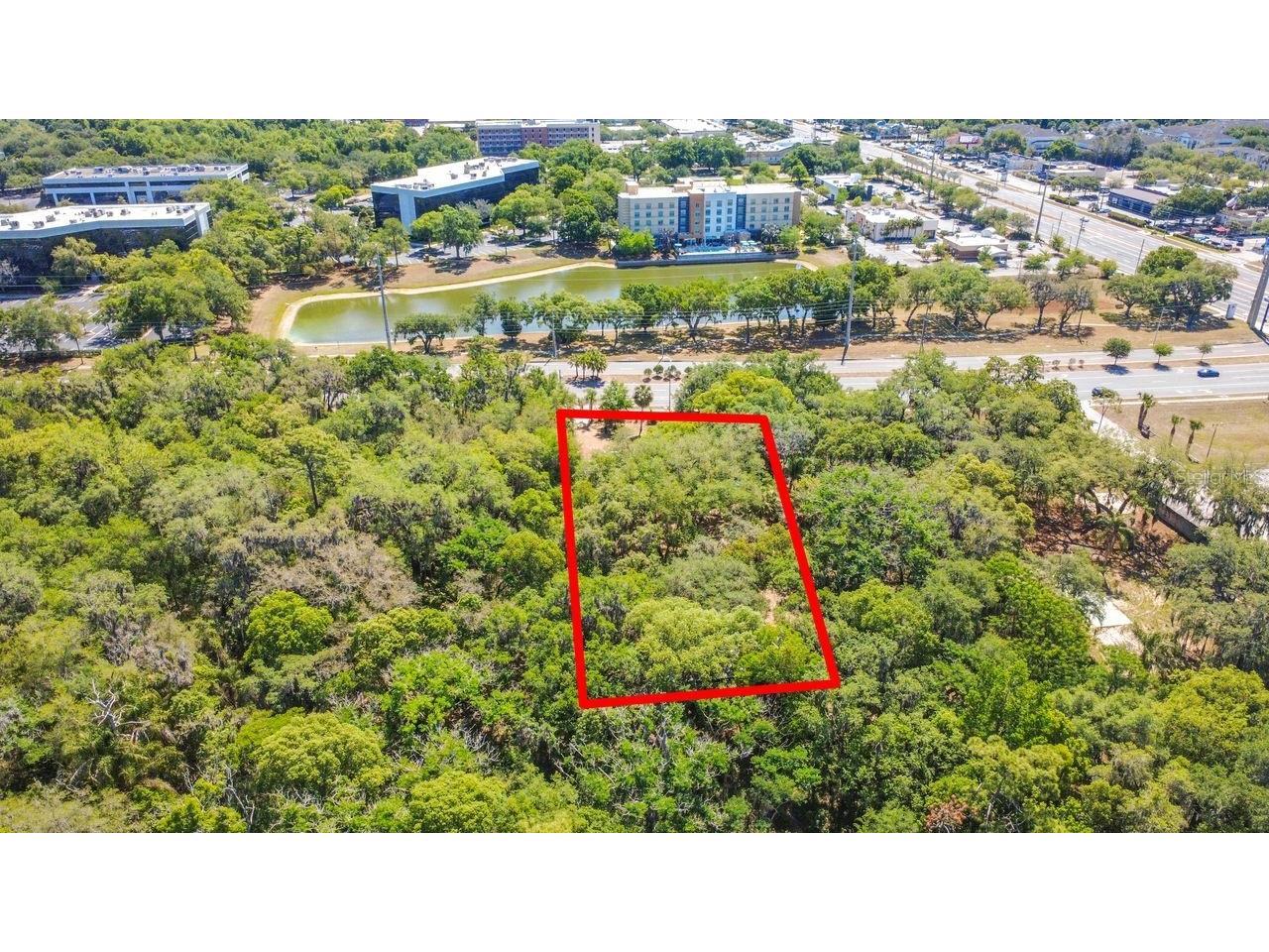 3508 Rouse Road Orlando FL 32817 O6404285 image48