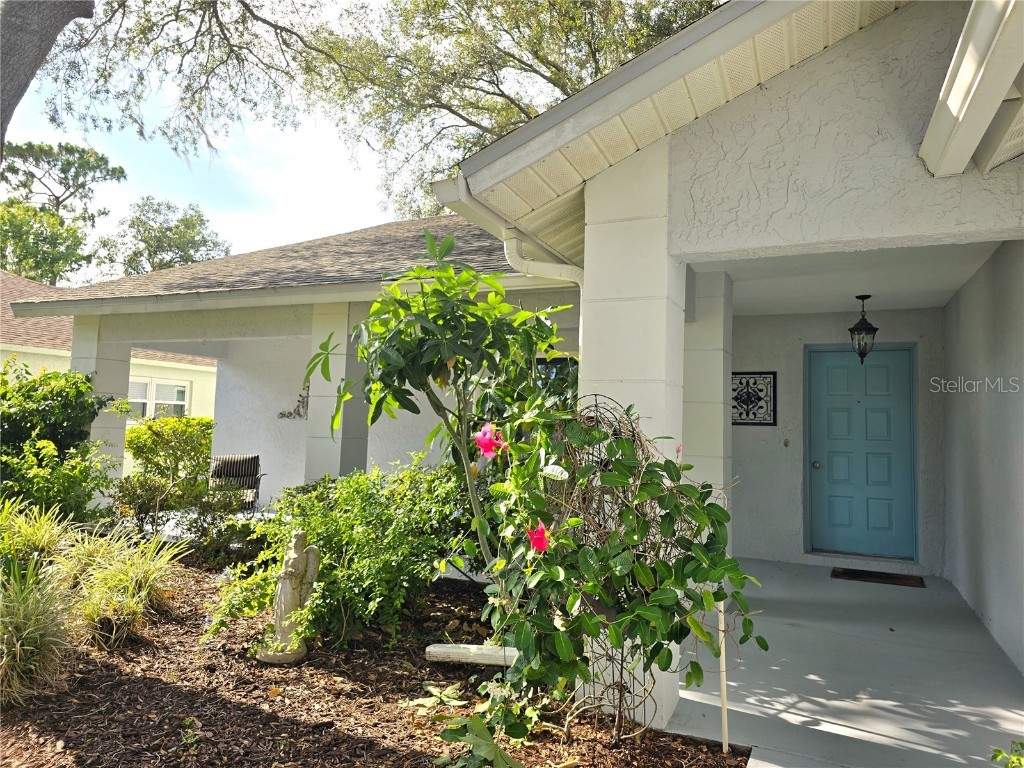 3509 Oak Lake Drive Palm Harbor FL 34684 TB8391685 image1