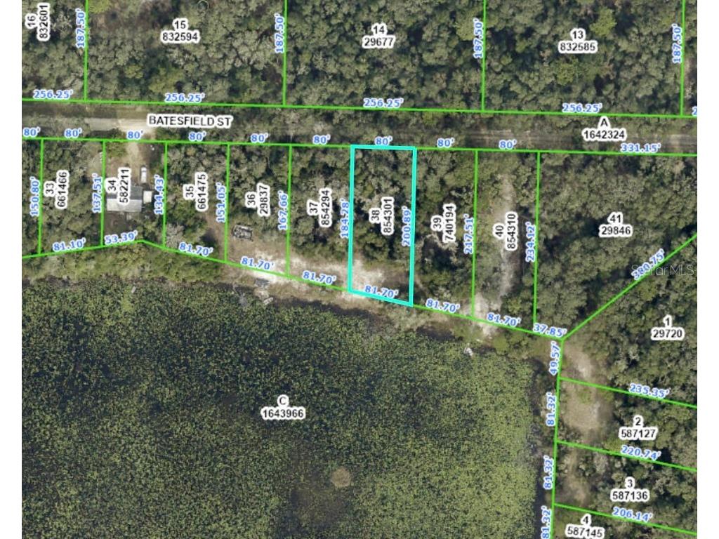 35090 Batesfield Street Webster FL 33597 T3512913 image1