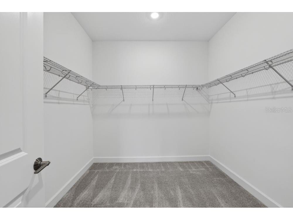 35090 Emberview Drive Zephyrhills FL 33541 TB8499038 image22